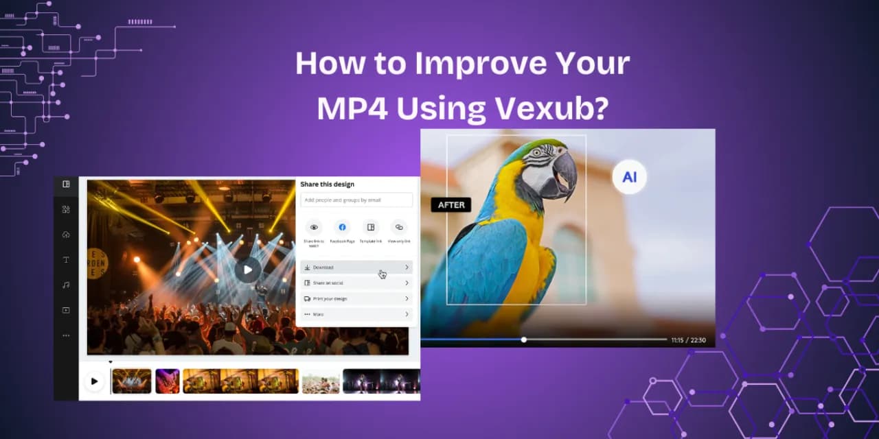 How to Improve MP4 Video Using Vexub?